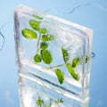 Peppermint & Tea Tree shower gel