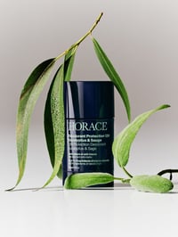 Déodorant Protection 12H Eucalyptus & Sauge