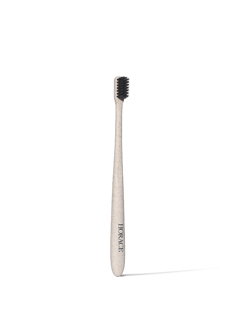 Brosse à Dents 