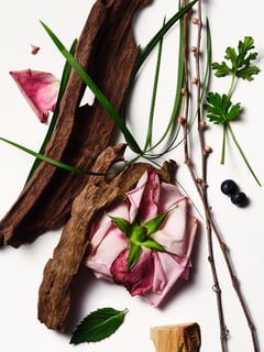 Oud Rose