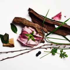 Oud Rose