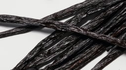 Vanilla in Perfumery: The Story of an Iconic Ingredient