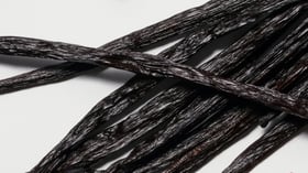 Vanilla in Perfumery: The Story of an Iconic Ingredient