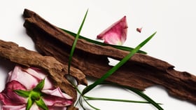 Qu’est-ce que c’est, le oud ?