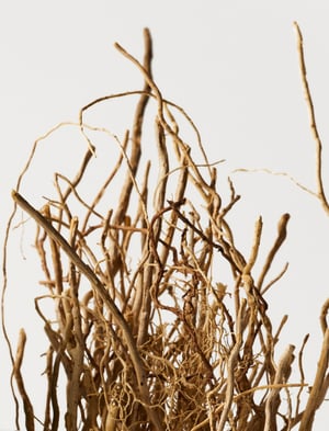 hrc-product-inspiration-image-alt