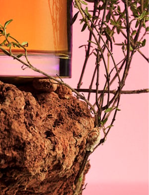 hrc-product-inspiration-image-alt