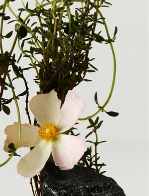 hrc-product-inspiration-image-alt