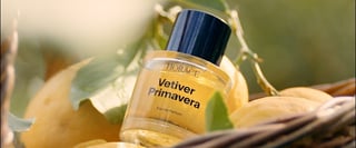 NEW : Vetiver Primavera