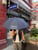 Parapluie télescopique London Undercover & Horace