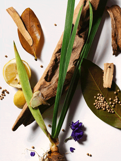 Coffret Découverte Parfums