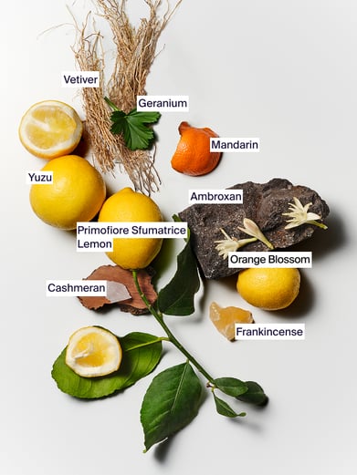 Vetiver Primavera Beard Oil