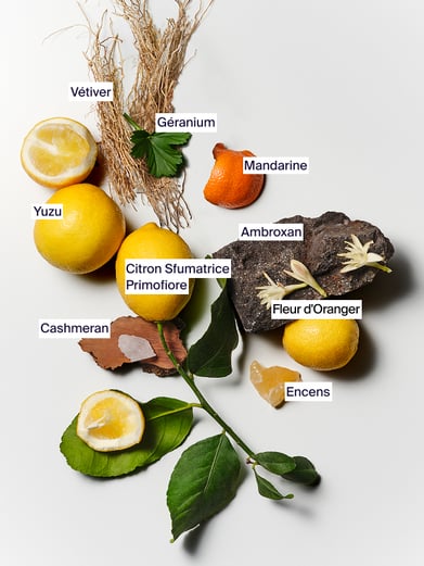 Huile pour Barbe Vetiver Primavera