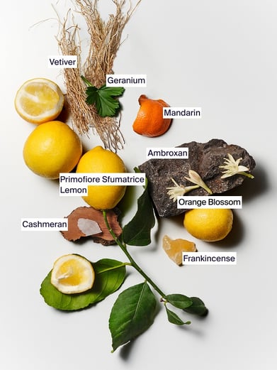 Vetiver Primavera 