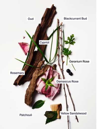 Oud Rose