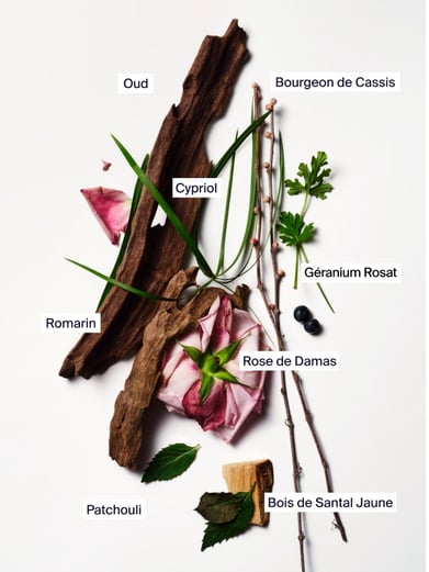 Oud Rose