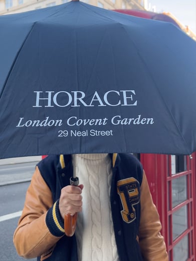 Parapluie télescopique London Undercover & Horace