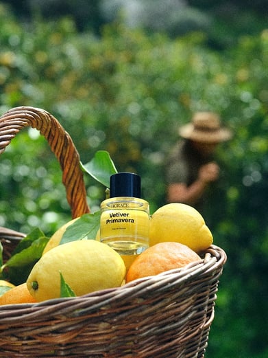 Vetiver Primavera 