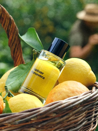 Vetiver Primavera