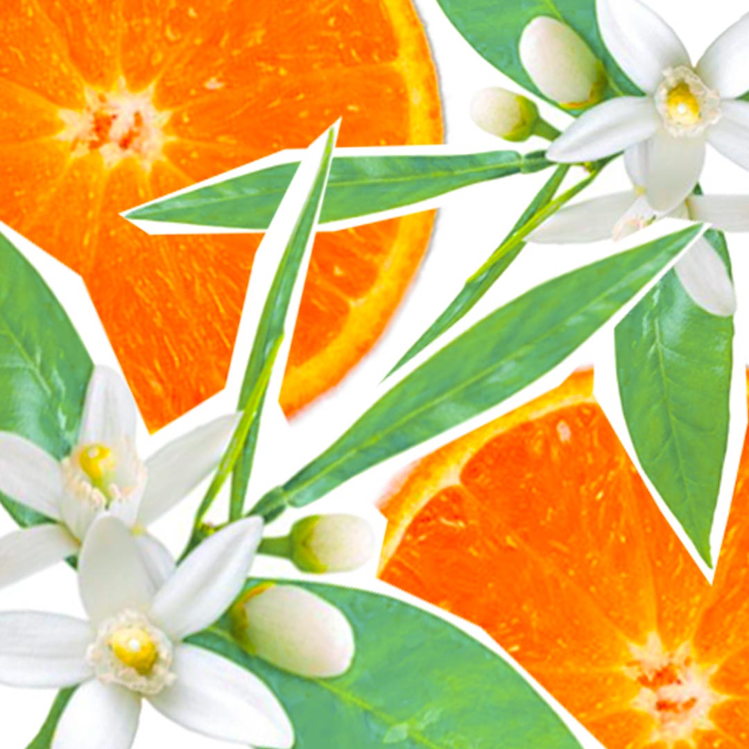 Pain de Savon Surgras Fleur d'Oranger & Petitgrain